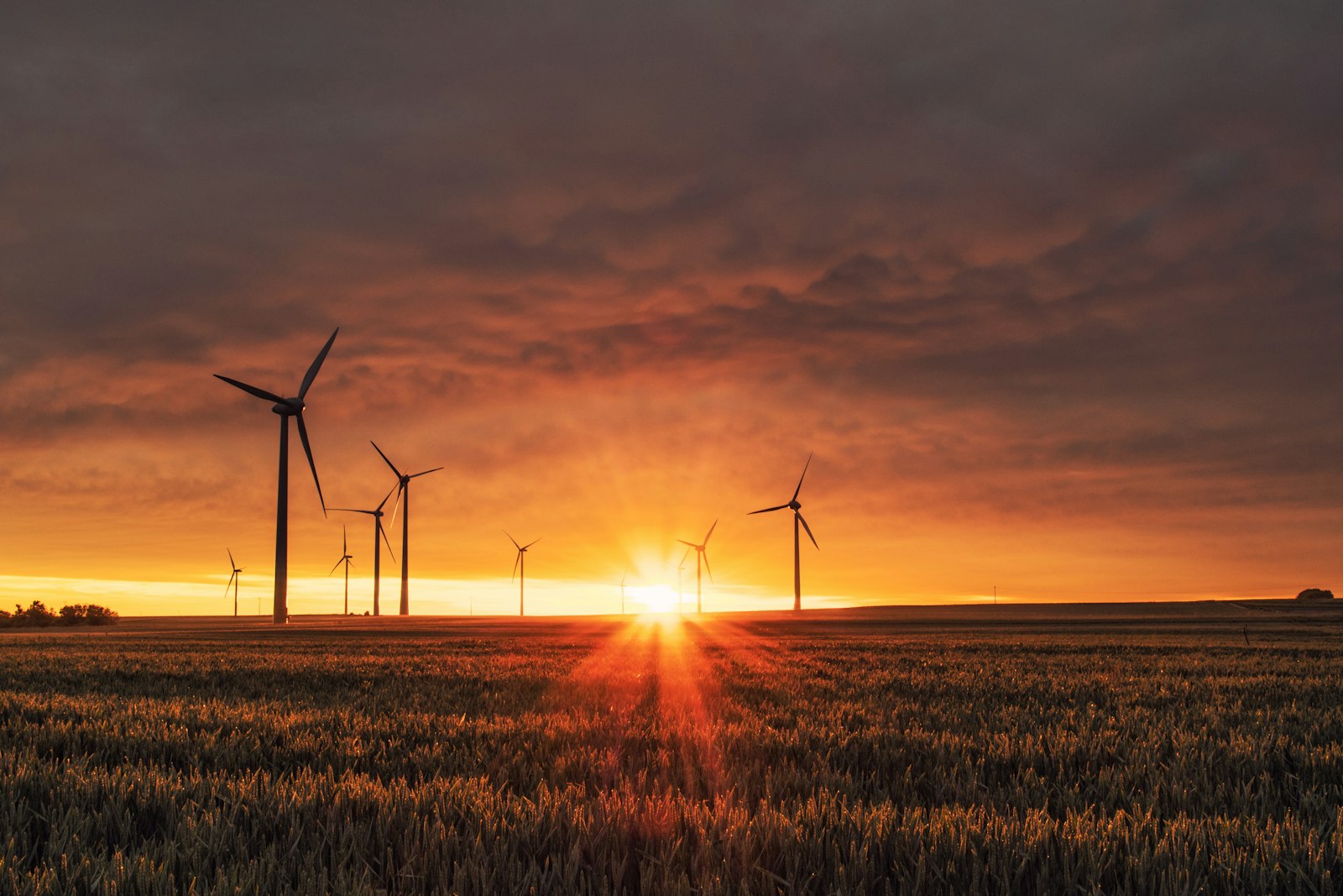 Aerogeneradors d'un parc eòlic en un paisatge natural