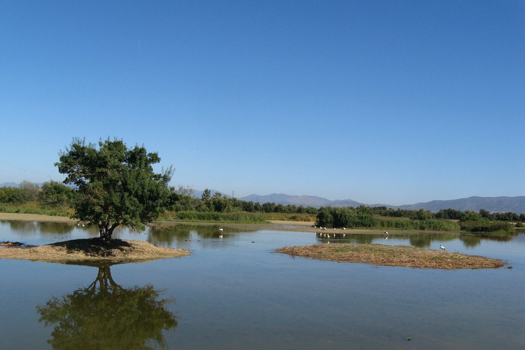 [PRO.34] Natura 2000 impact assessment