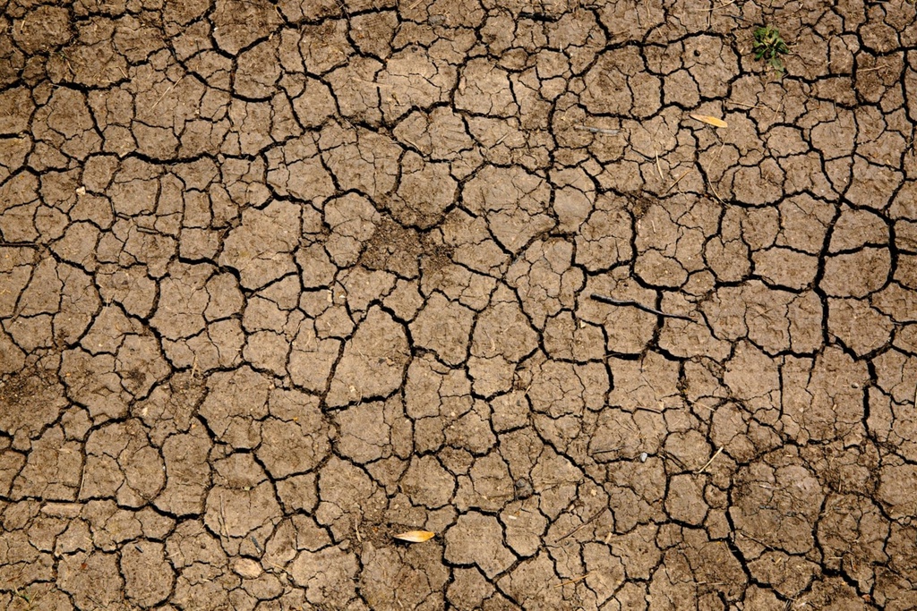 [DIA.08] Análisis de riesgo climático físico y vulnerabilidad (escenarios IPCC)