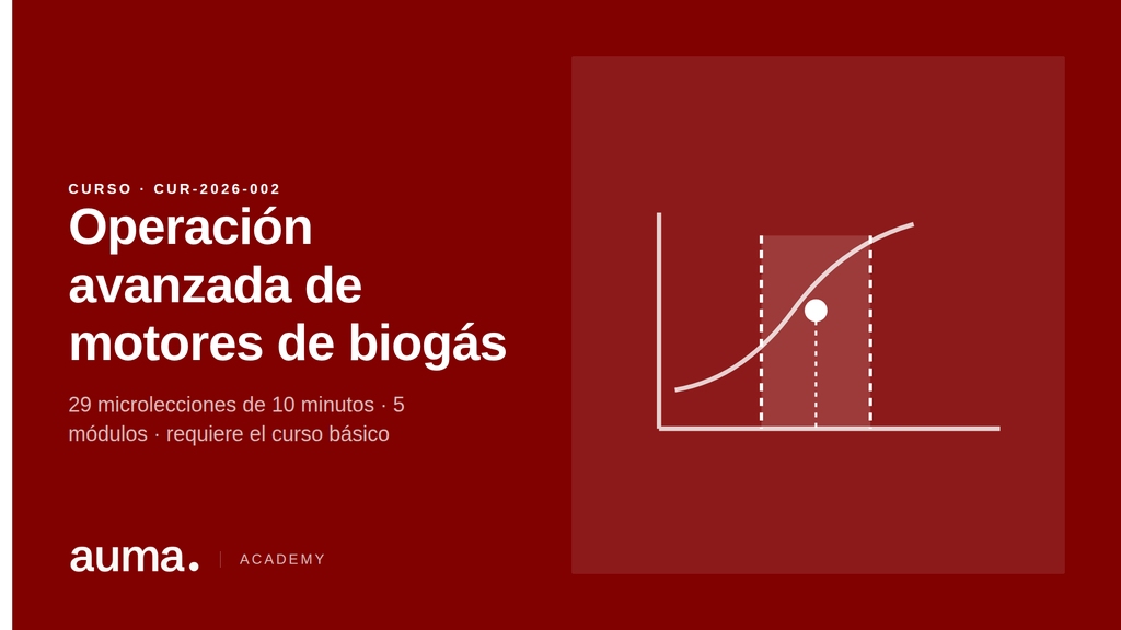 Operación avanzada de motores de biogás y equipos auxiliares