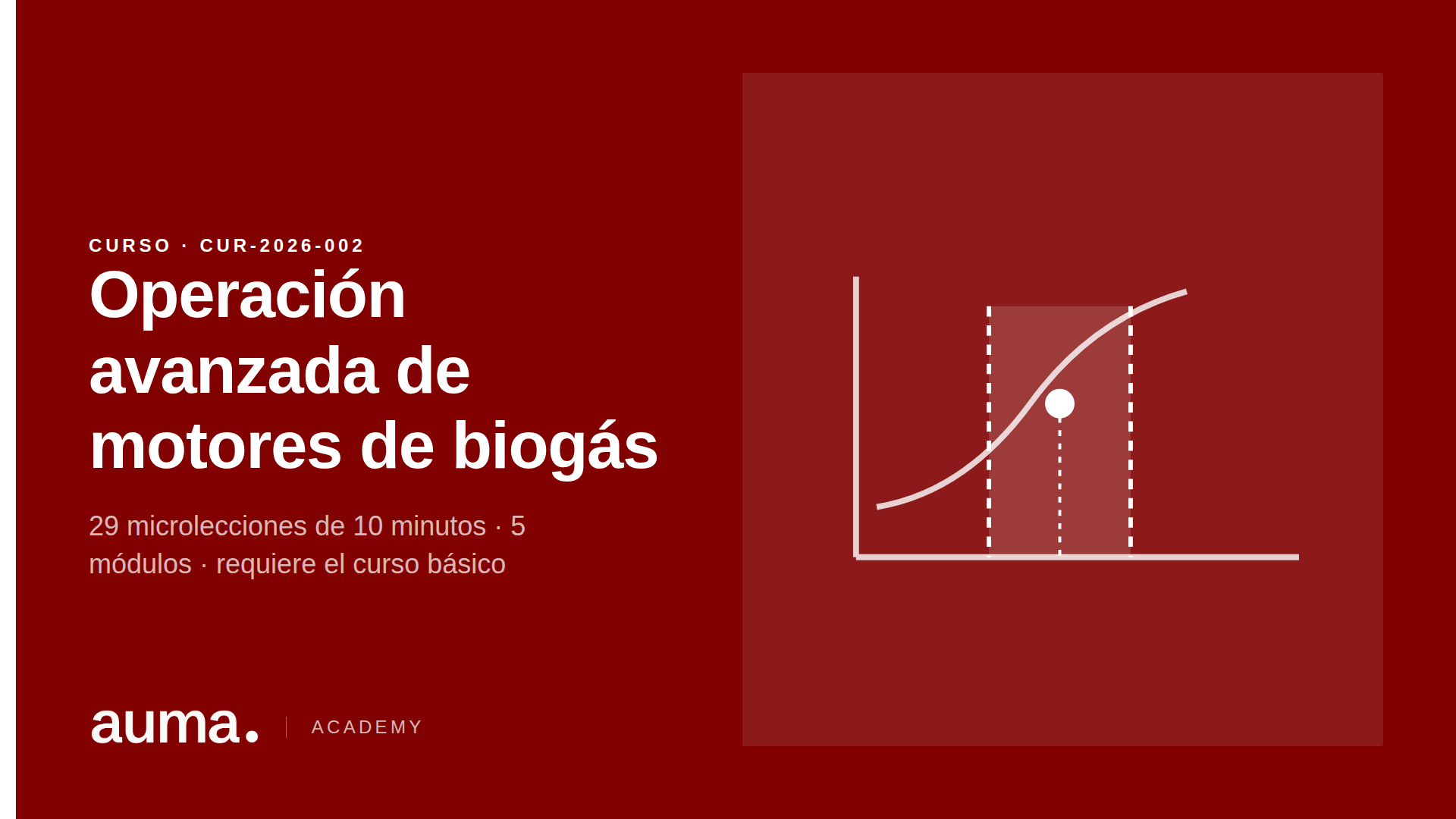 Operación avanzada de motores de biogás y equipos auxiliares