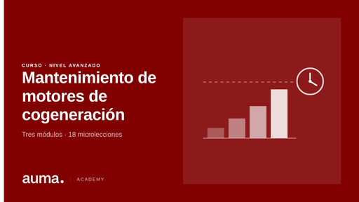 Mantenimiento de motores de cogeneración (CHP)